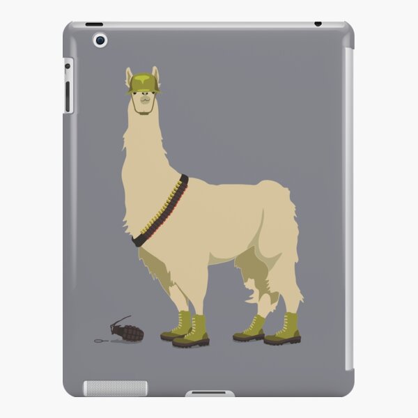 iPad Retina/3/2 - Snap
