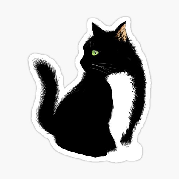 Cute Cat Sticker! Sticker