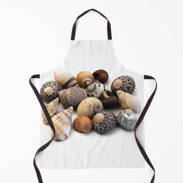 Item preview, Sea shells designed and sold by troianifabrizio.