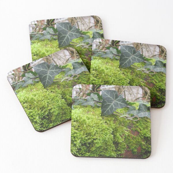 Item preview, Ivy And Moss designed and sold by lezvee.