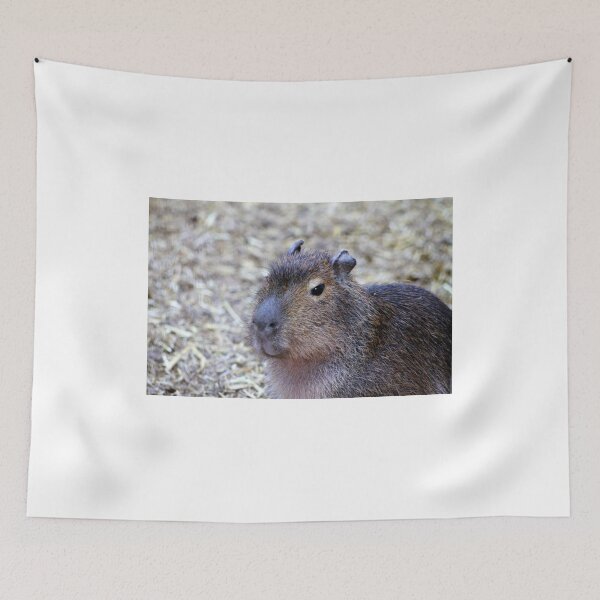 Item preview, Barry designed and sold by Ladymoose.