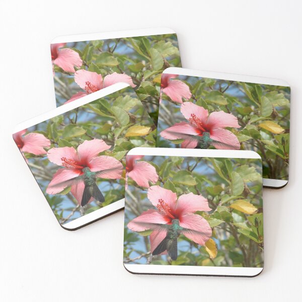 Item preview, Green hummingbird on pink hibiscus flower, Abaco Bahamas designed and sold by abacoian.