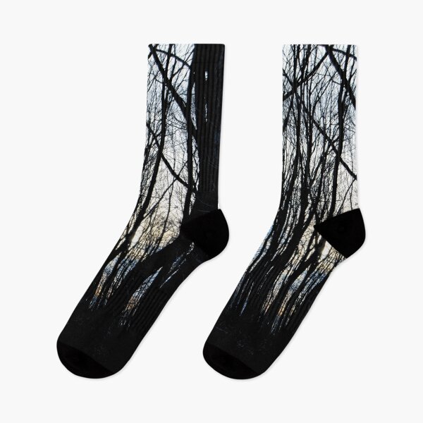 Item preview, Fall Sunset though the Forest -  Silhouette  designed and sold by Robert Link.