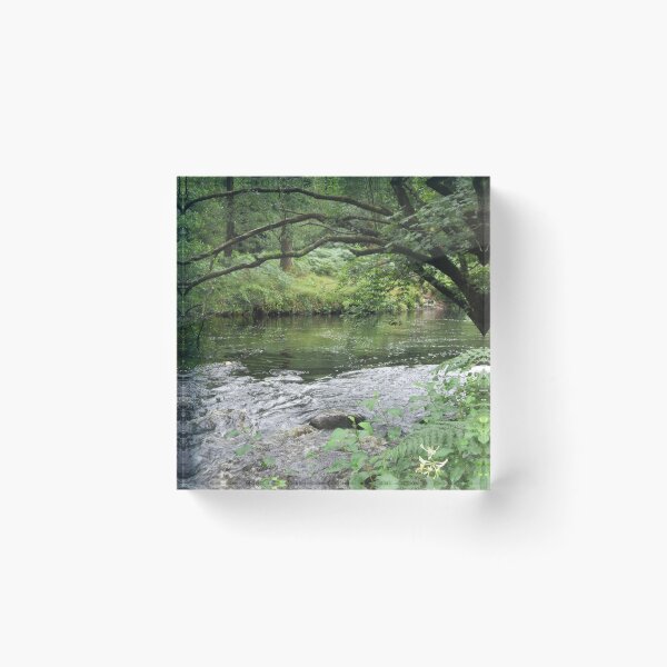Item preview, The Dart At Spitchwick - UK designed and sold by lezvee.