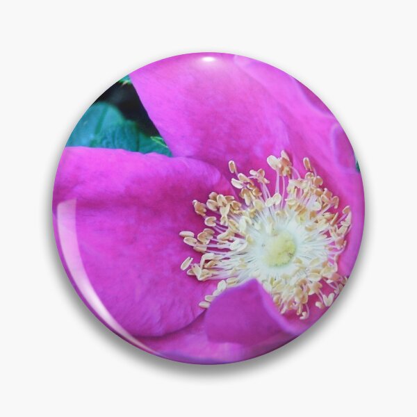 Item preview, Pink Rose designed and sold by Shulie1.
