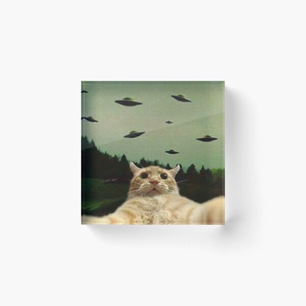 Item preview, cat selfie with ufo designed and sold by ParamedicDesign.
