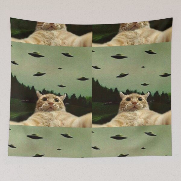 Item preview, cat selfie with ufo designed and sold by ParamedicDesign.