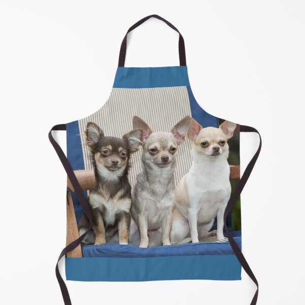 Item preview, Three Chihuahua Dogs Sitting on a Chair designed and sold by ScienceSource.