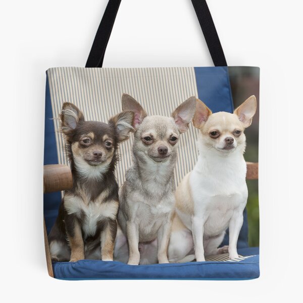Artikelvorschau, Drei Chihuahua-Hunde sitzen auf einem Stuhl entworfen und verkauft von ScienceSource.