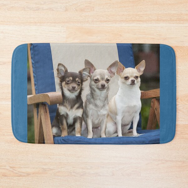 Item preview, Three Chihuahua Dogs Sitting on a Chair designed and sold by ScienceSource.
