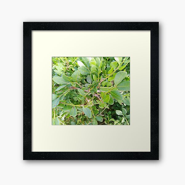 Item preview, mediterranean wall art designed and sold by AmzaShirt.