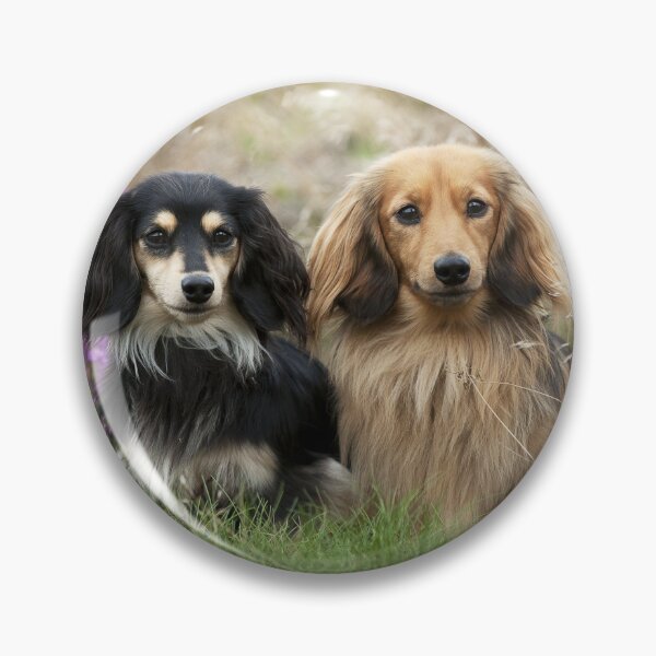 Item preview, Two Dachshunds in the Grass designed and sold by ScienceSource.