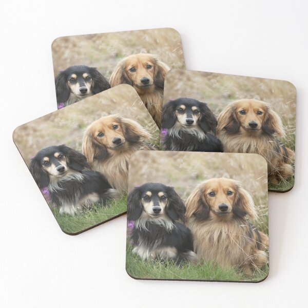Item preview, Two Dachshunds in the Grass designed and sold by ScienceSource.