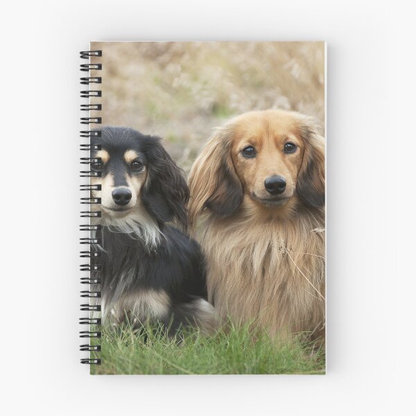 Item preview, Two Dachshunds in the Grass designed and sold by ScienceSource.