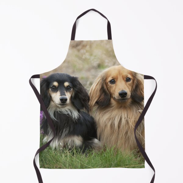 Item preview, Two Dachshunds in the Grass designed and sold by ScienceSource.