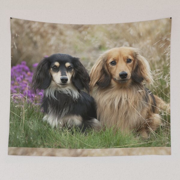 Item preview, Two Dachshunds in the Grass designed and sold by ScienceSource.