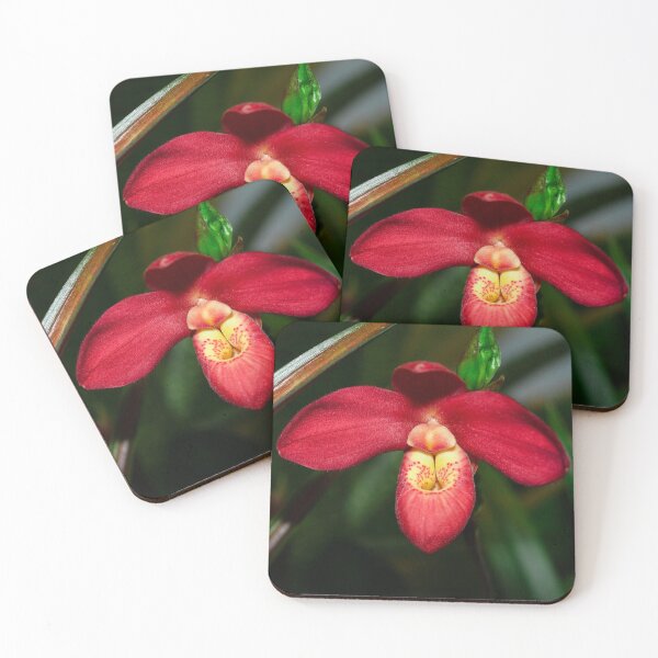 Item preview, Ruby Red Lady Slipper Orchid designed and sold by Rivercoatl.