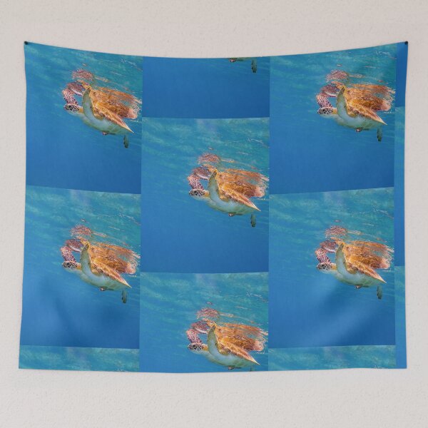 Item preview, Green Turtle With Surface Reflections designed and sold by Brent Barnes.