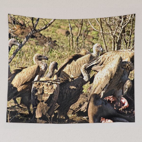 Item preview, African Vultures Birds Having a Meal designed and sold by worldways.