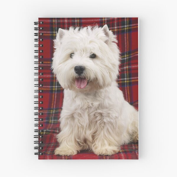 Item preview, West Highland White Terrier on a Scotch Plaid designed and sold by ScienceSource.