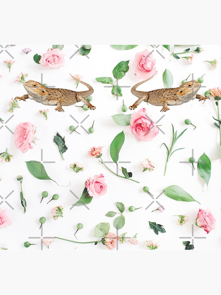 Bearded Dragon On A Carnation Background by snibbo71