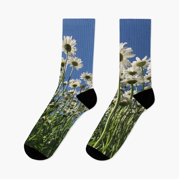 Item preview, daisies designed and sold by MariannaPhotos.