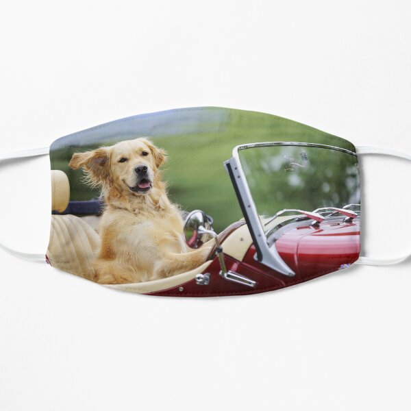 Golden Retriever Driving a Car Flat Mask