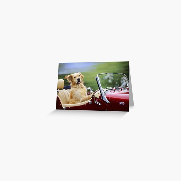 Item preview, Golden Retriever Driving a Car designed and sold by ScienceSource.