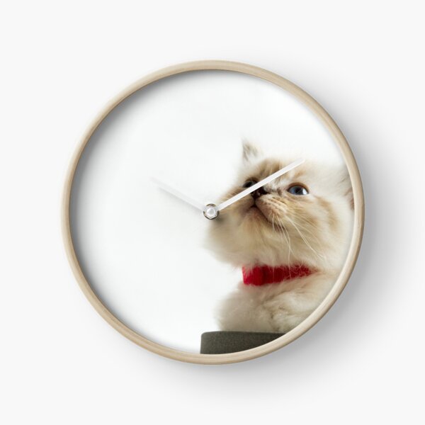 Ragdoll Cat Lover Gift Custom Pet Name Word Art Print Special Personalized Cats Portrait For Cat Mom Dad Pet Memorial And Pet Loss Gifts Pet Portraits Art Collectibles Delage Com Br