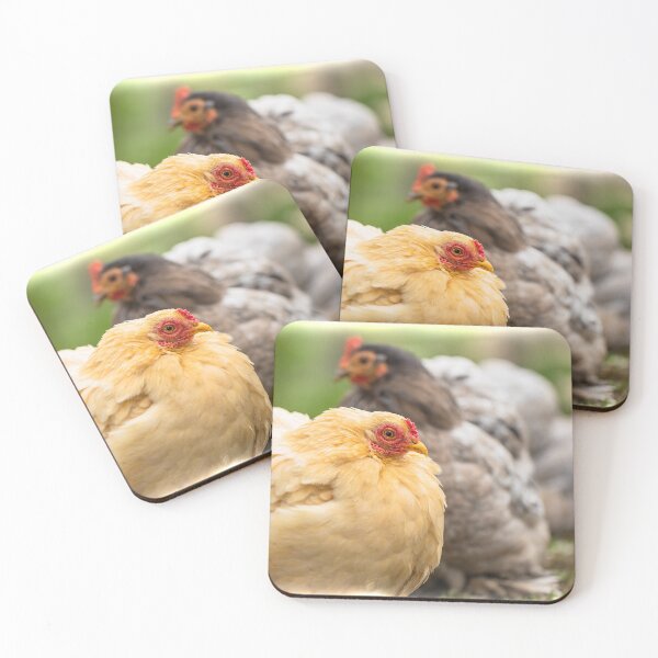 Item preview, chook designed and sold by Willi T Dennithorne.