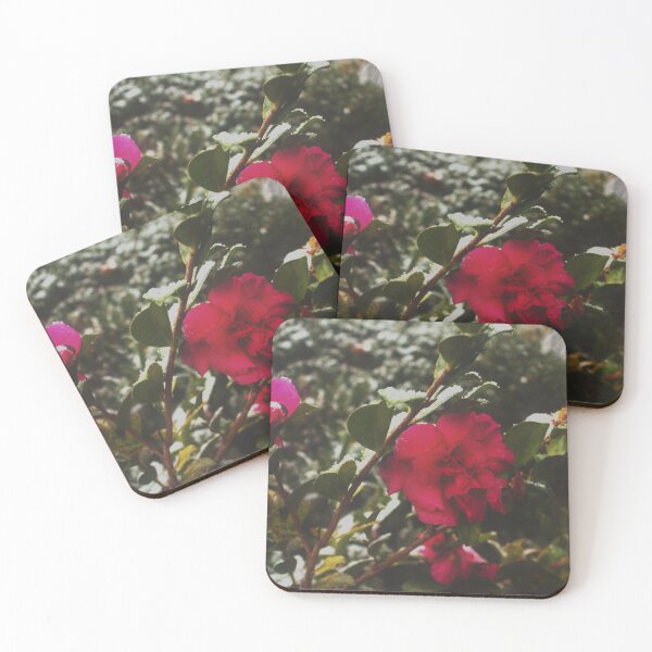Item preview, Bloomcore Winter Rose designed and sold by chaze-cha.