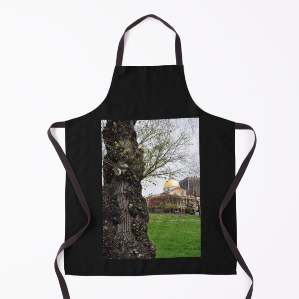 Item preview, Massachusetts State House w Tree designed and sold by SLBigelow11.