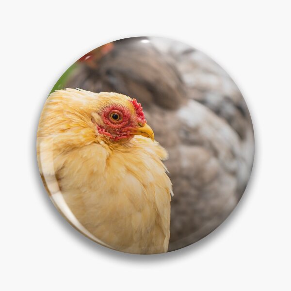Item preview, chook designed and sold by Willi T Dennithorne.