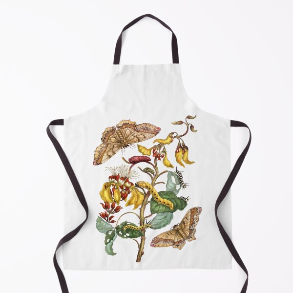 Item preview, Coral tree and silk moth - Maria Sibylla Merian designed and sold by 1001karte.