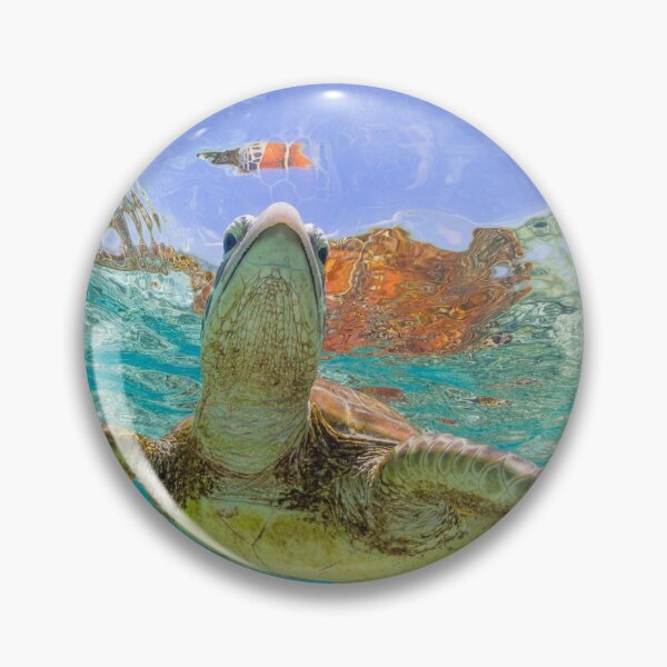 Item preview, Shell reflection designed and sold by Kara Murphy.