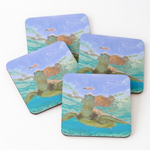 Item preview, Shell reflection designed and sold by Kara Murphy.