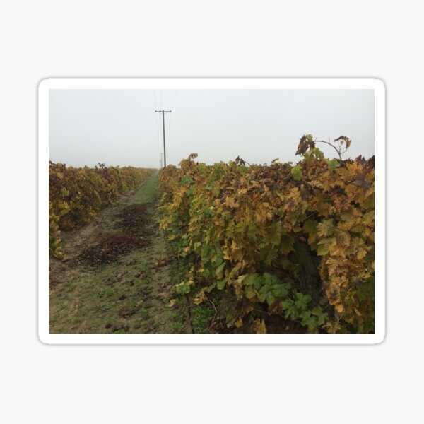 Item preview, Grape Vines designed and sold by Adventurersyd.