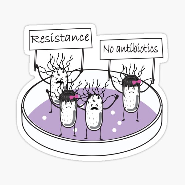 bacteria and virus resistance antibiotics in virology and bacteriology