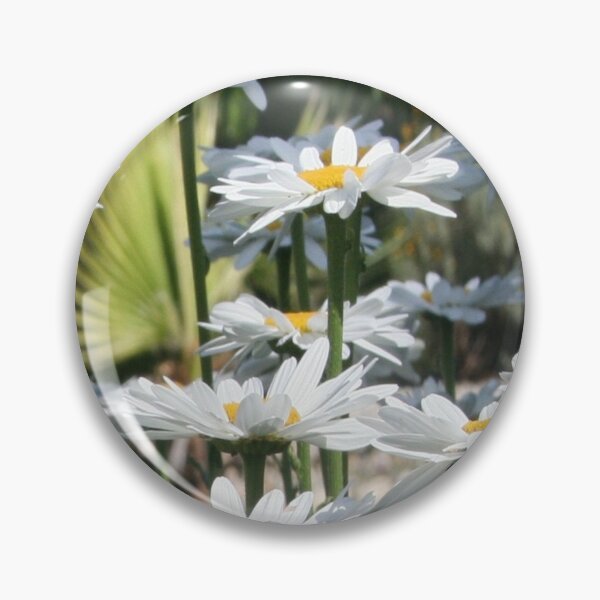 Item preview, A Garden of White Daisy Flowers Garden Photography designed and sold by taiche.