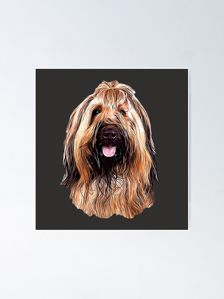 Briard with Style! Poster - Main Image