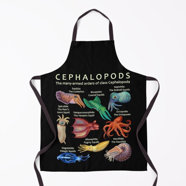 Item preview, The Cephalopod: Octopus, Squid, Nautilus, and Cuttlefish designed and sold by ELMayer.