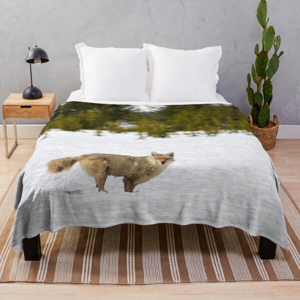 Item preview, Coyote in Snow with Trees, Wild Coyote, Animal in Snow, Snow in Yellowstone, Animal in Yellowstone designed and sold by naturecdesigns.