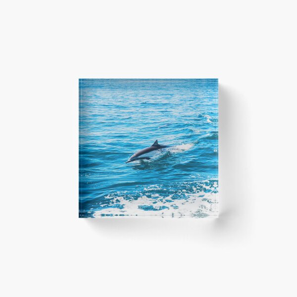 Artikelvorschau, Spinner Dolphin entworfen und verkauft von oxyten.
