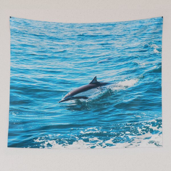 Item preview, Spinner Dolphin designed and sold by oxyten.