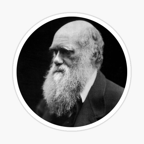 Darwin Sticker