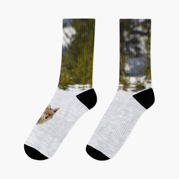 Item preview, Coyote in Snow with Trees, Wild Coyote, Animal in Snow, Snow in Yellowstone, Animal in Yellowstone designed and sold by naturecdesigns.