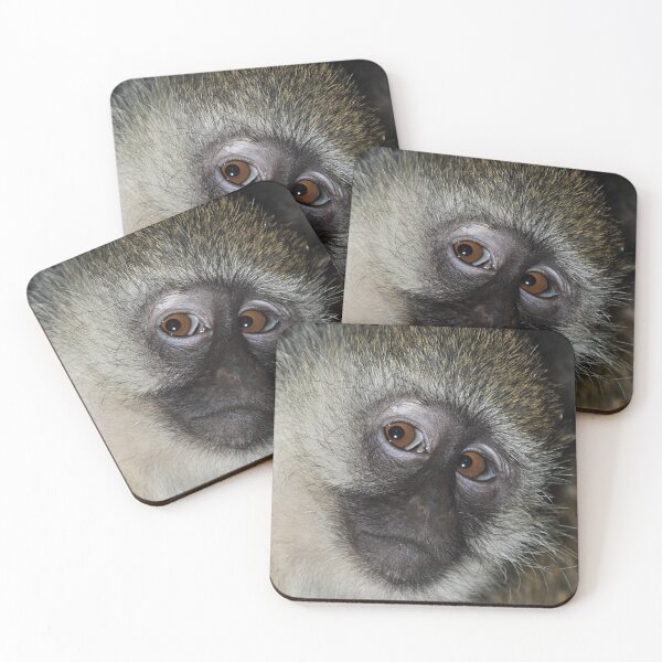 Item preview, The Eyes Have It! Black-faced Vervet Monkey, Kenya  designed and sold by Carole-Anne.