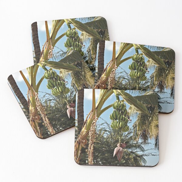 Item preview, Cluster of Bananas Banana Flower Hanging from Tree designed and sold by worldways.