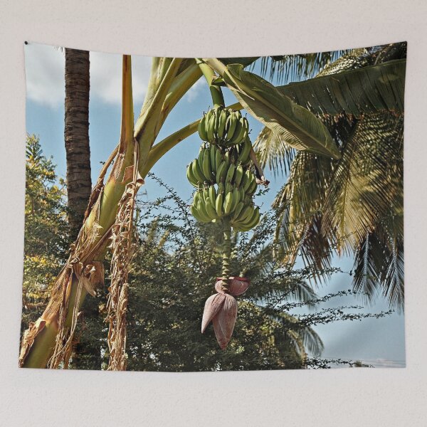 Item preview, Cluster of Bananas Banana Flower Hanging from Tree designed and sold by worldways.