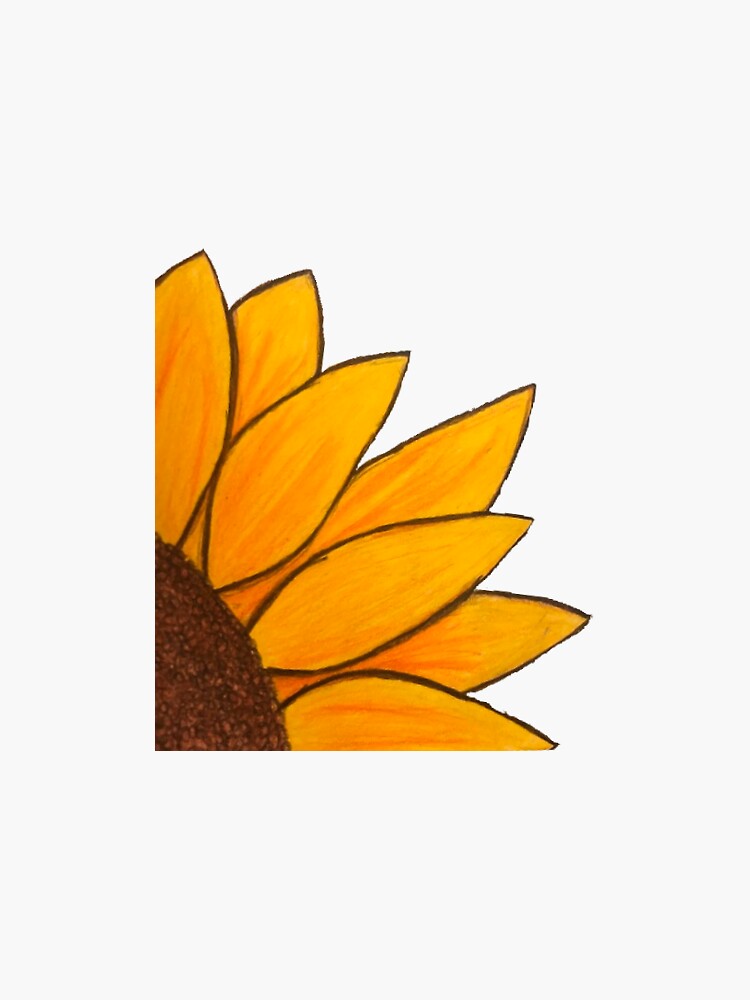 How to Draw a Sunflower? | Step by Step Drawing for Kids